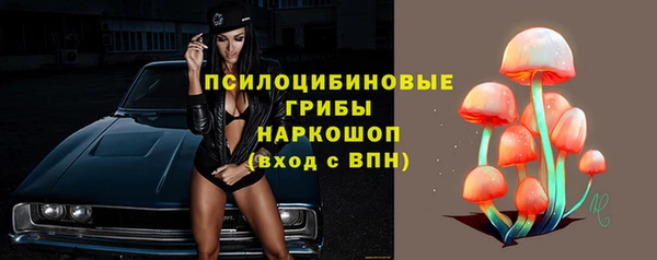 молекула духа Тихвин